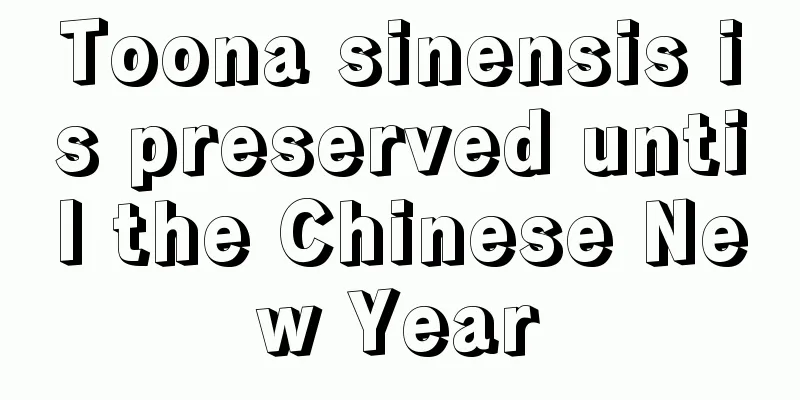 Toona sinensis is preserved until the Chinese New Year