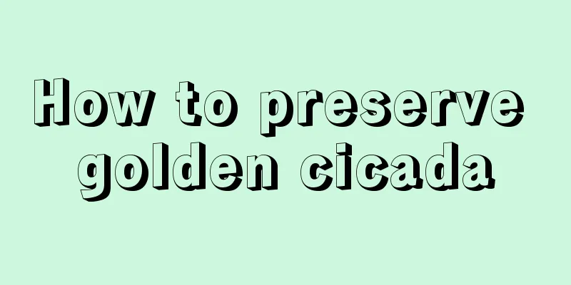 How to preserve golden cicada