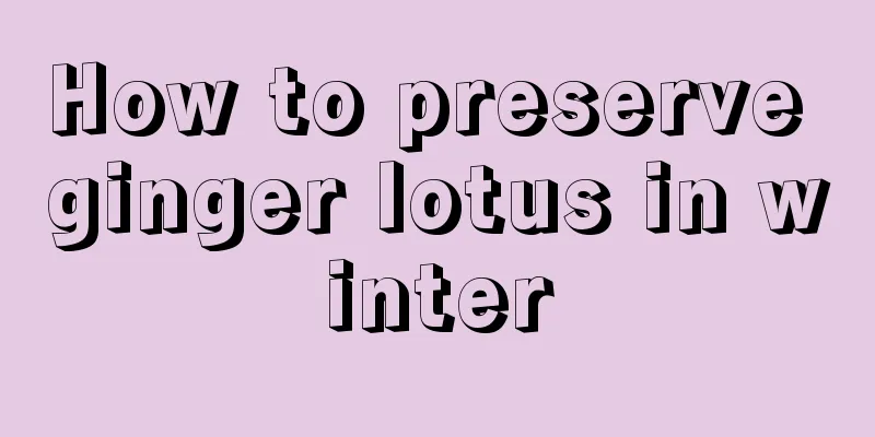 How to preserve ginger lotus in winter