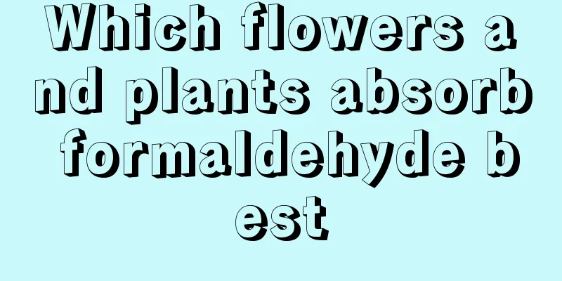 Which flowers and plants absorb formaldehyde best