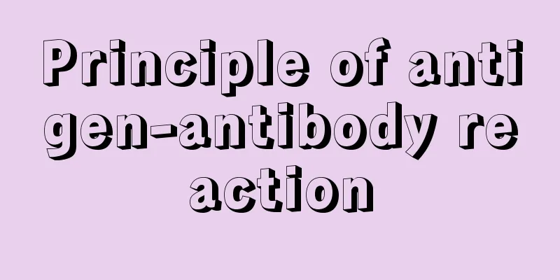 Principle of antigen-antibody reaction