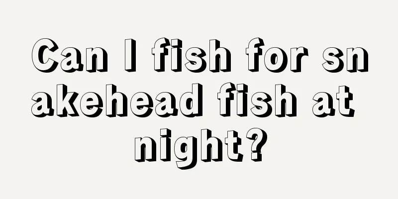 Can I fish for snakehead fish at night?
