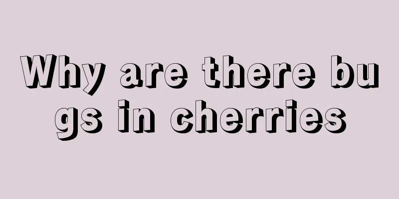 Why are there bugs in cherries