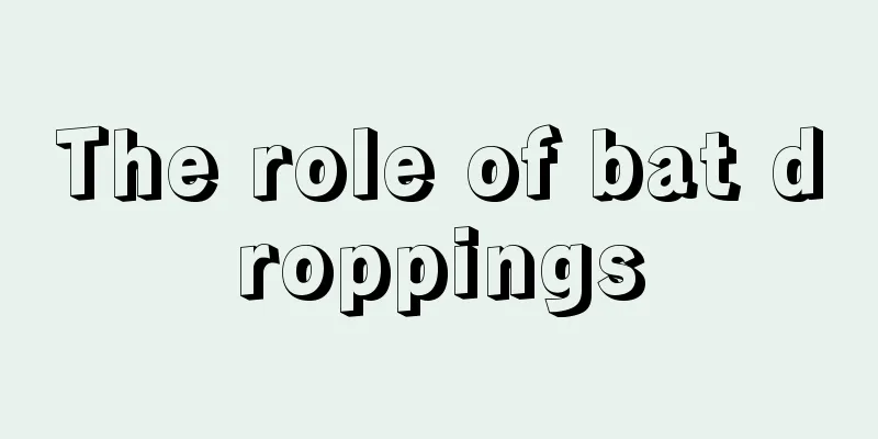 The role of bat droppings