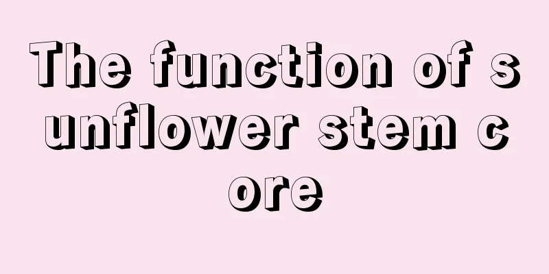 The function of sunflower stem core
