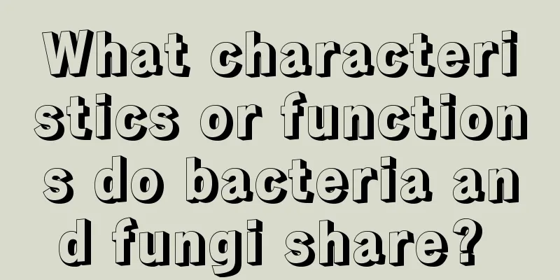 What characteristics or functions do bacteria and fungi share? 