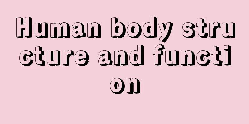 Human body structure and function