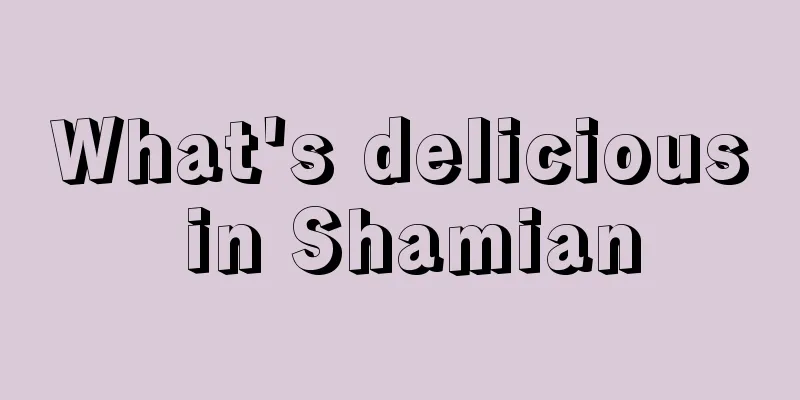 What's delicious in Shamian