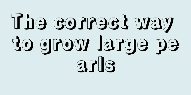 The correct way to grow large pearls