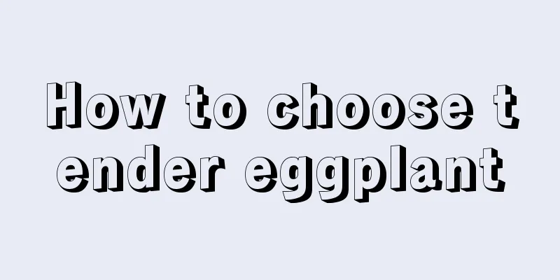 How to choose tender eggplant