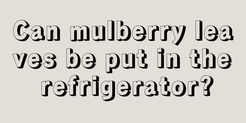 Can mulberry leaves be put in the refrigerator?