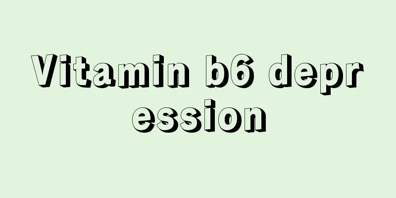 Vitamin b6 depression