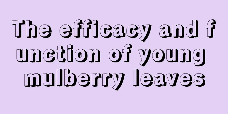The efficacy and function of young mulberry leaves