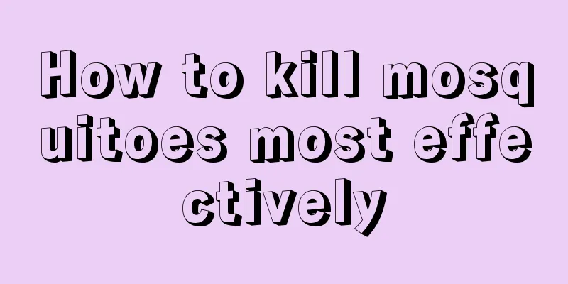 How to kill mosquitoes most effectively
