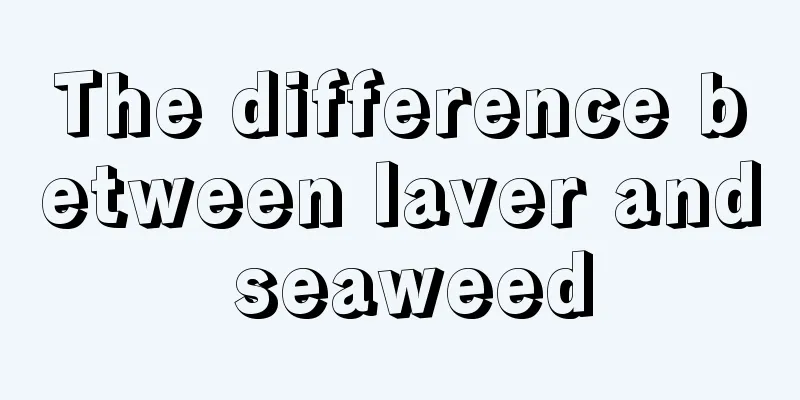 The difference between laver and seaweed