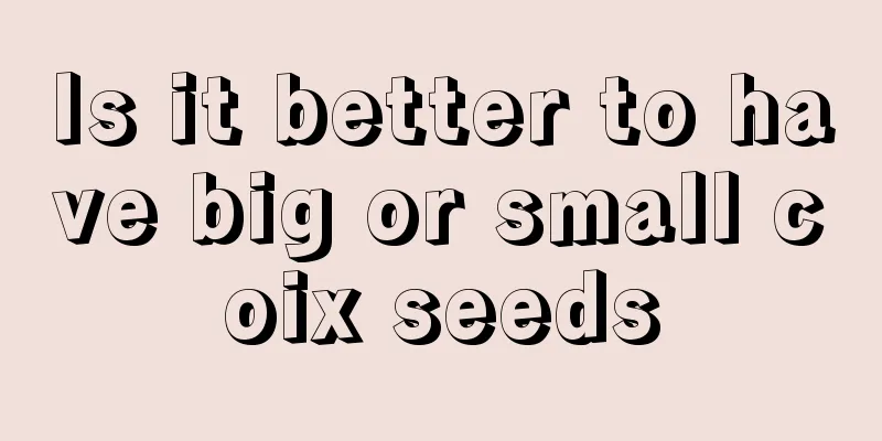 Is it better to have big or small coix seeds