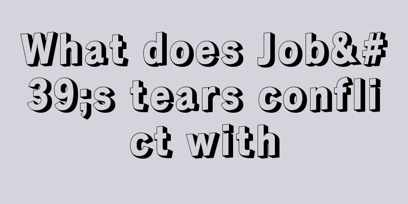 What does Job's tears conflict with