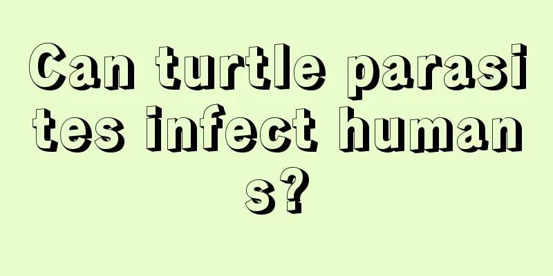 Can turtle parasites infect humans?