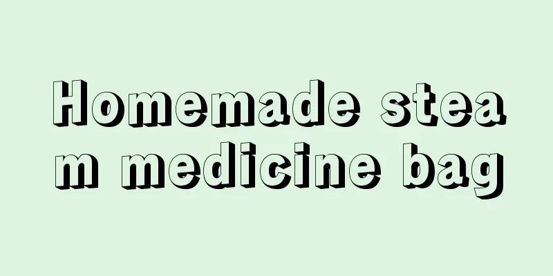 Homemade steam medicine bag