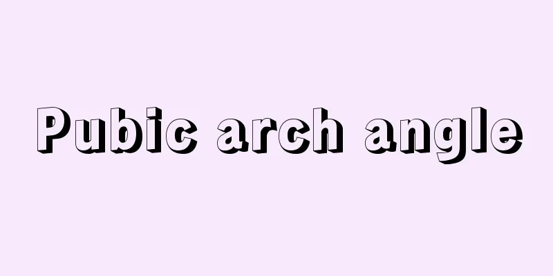 Pubic arch angle