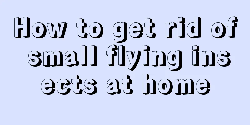How to get rid of small flying insects at home
