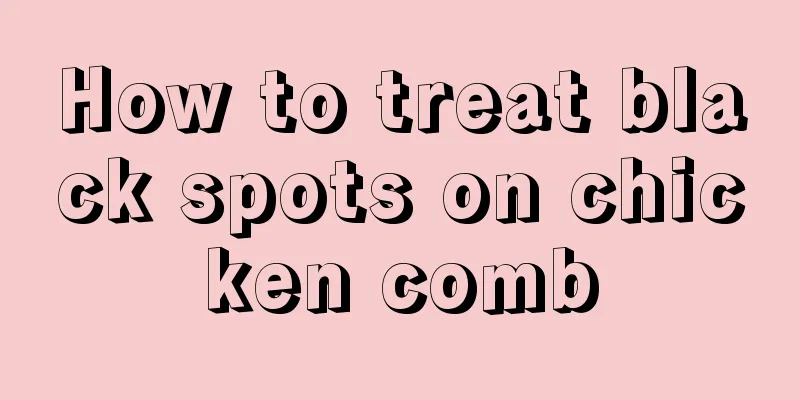 How to treat black spots on chicken comb