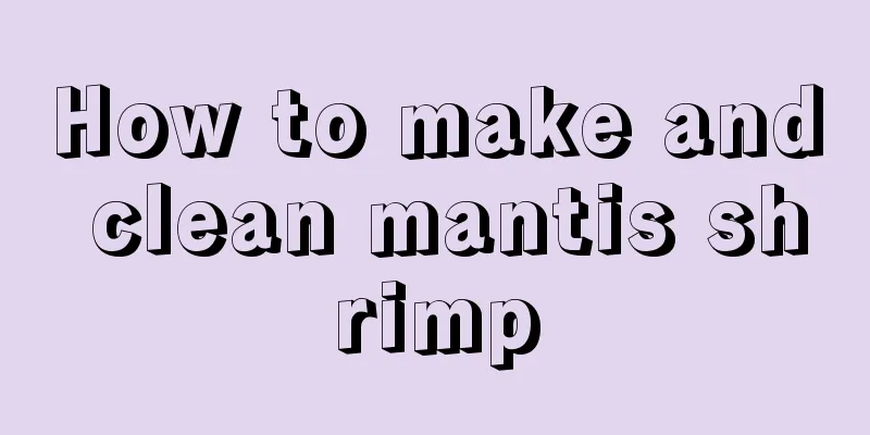 How to make and clean mantis shrimp