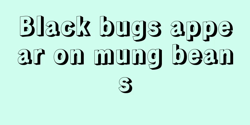 Black bugs appear on mung beans