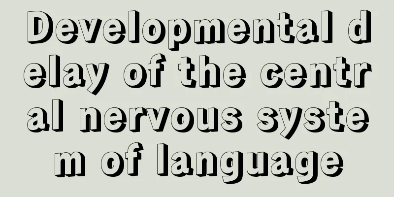 Developmental delay of the central nervous system of language