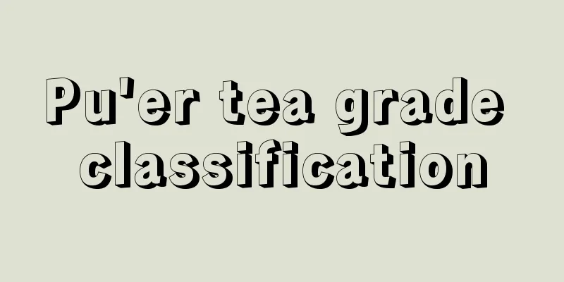 Pu'er tea grade classification