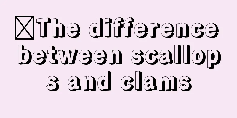 ​The difference between scallops and clams
