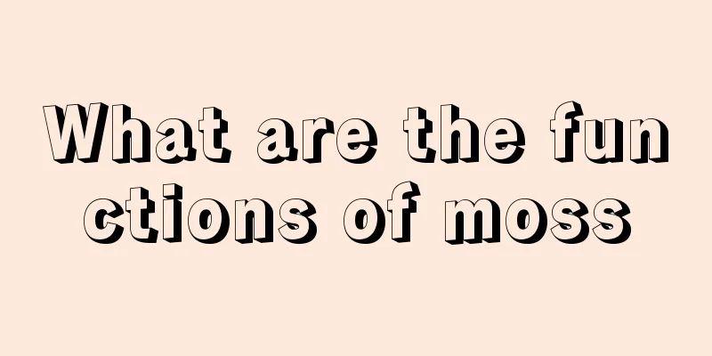 What are the functions of moss