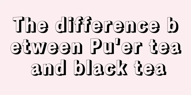 The difference between Pu'er tea and black tea