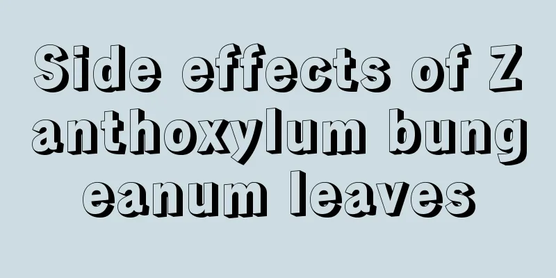 Side effects of Zanthoxylum bungeanum leaves
