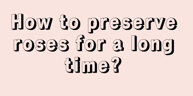 How to preserve roses for a long time? 