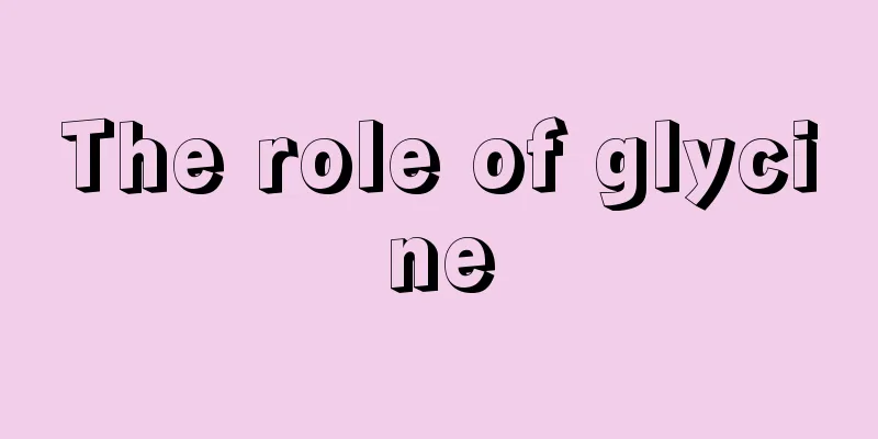 The role of glycine