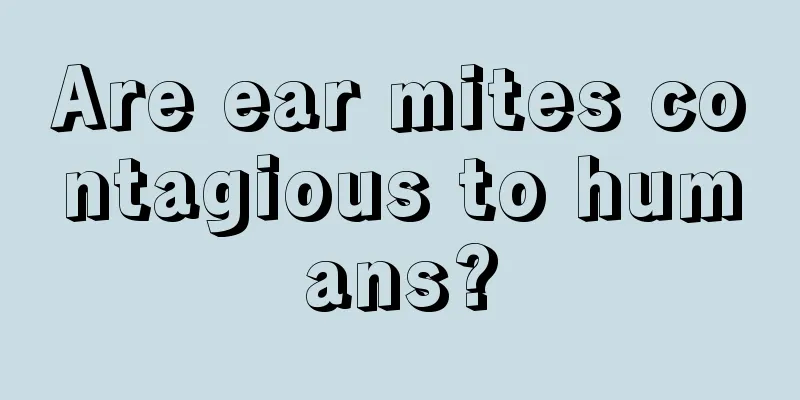 Are ear mites contagious to humans?