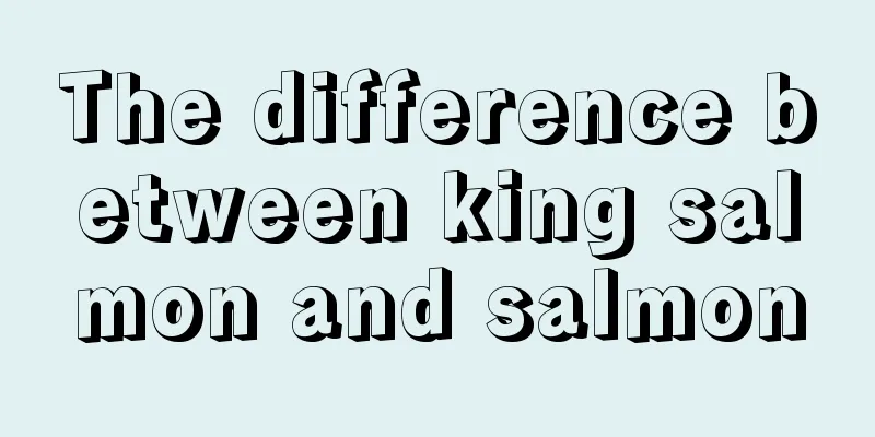 The difference between king salmon and salmon