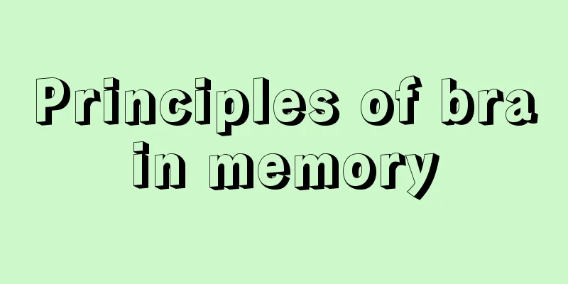 Principles of brain memory