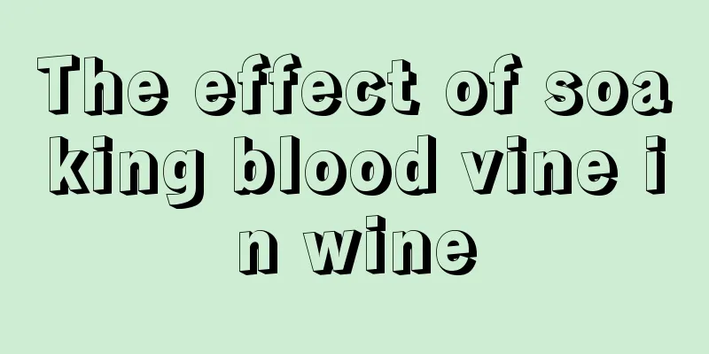 The effect of soaking blood vine in wine