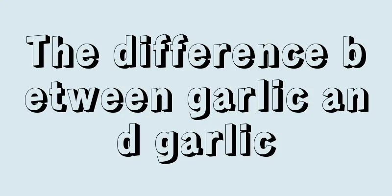The difference between garlic and garlic