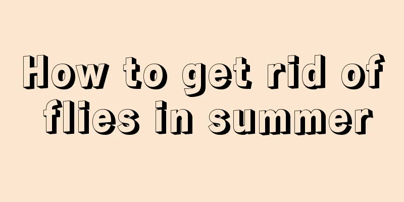 How to get rid of flies in summer