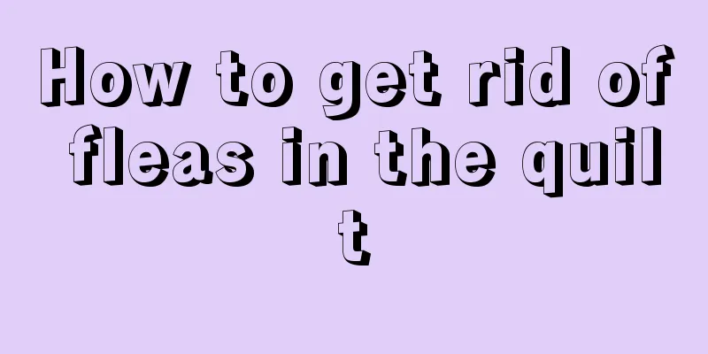 How to get rid of fleas in the quilt