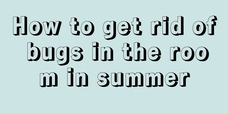 How to get rid of bugs in the room in summer