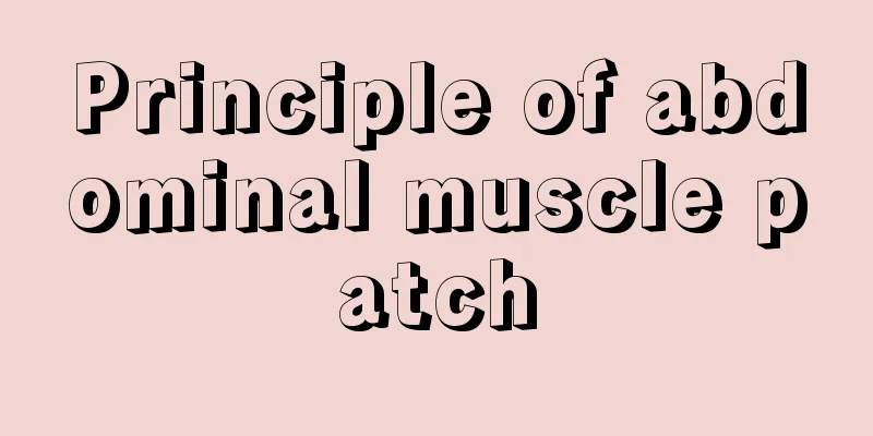 Principle of abdominal muscle patch