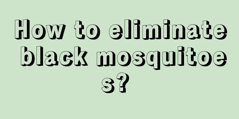 How to eliminate black mosquitoes? 
