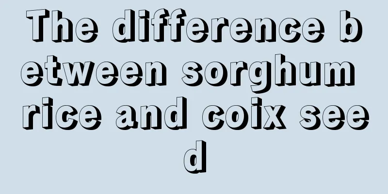 The difference between sorghum rice and coix seed