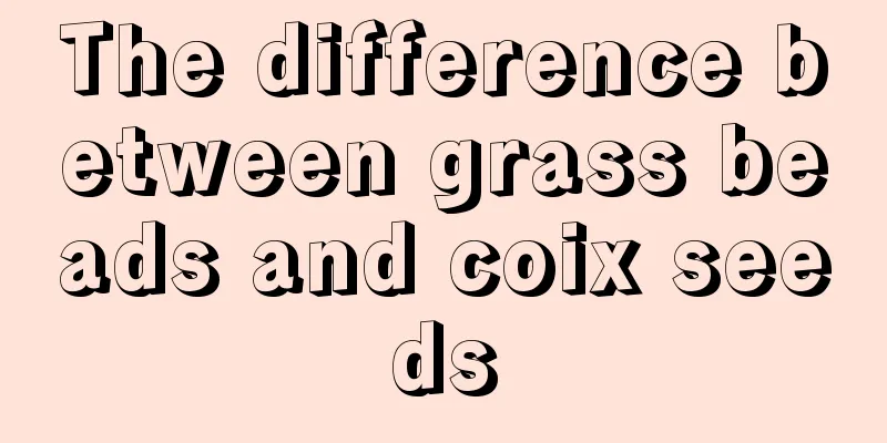 The difference between grass beads and coix seeds