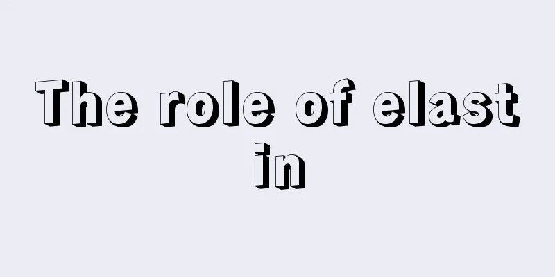The role of elastin