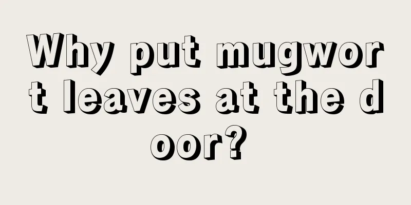 Why put mugwort leaves at the door? 